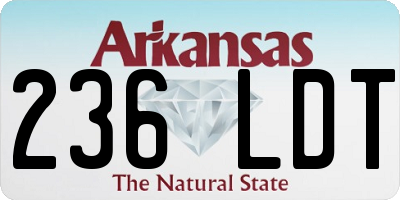 AR license plate 236LDT