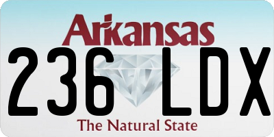 AR license plate 236LDX