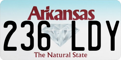 AR license plate 236LDY
