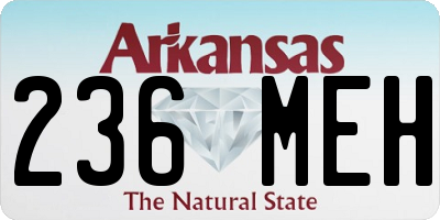 AR license plate 236MEH
