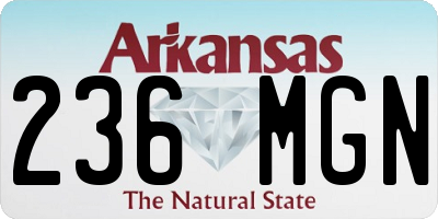 AR license plate 236MGN