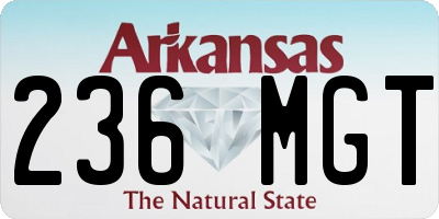 AR license plate 236MGT
