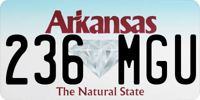 AR license plate 236MGU