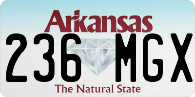 AR license plate 236MGX