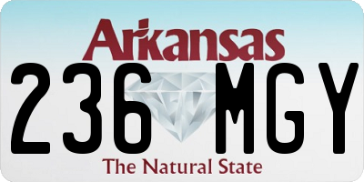 AR license plate 236MGY