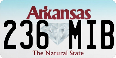 AR license plate 236MIB