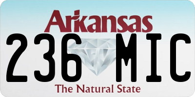 AR license plate 236MIC