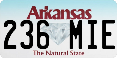 AR license plate 236MIE