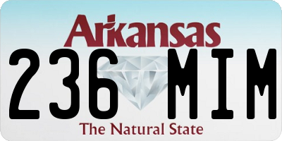 AR license plate 236MIM