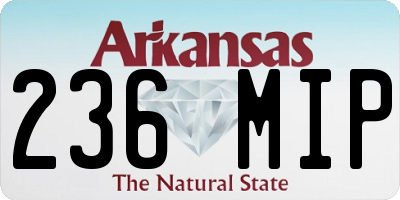 AR license plate 236MIP
