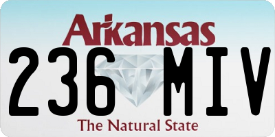 AR license plate 236MIV