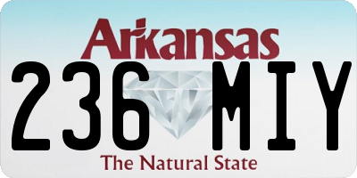 AR license plate 236MIY