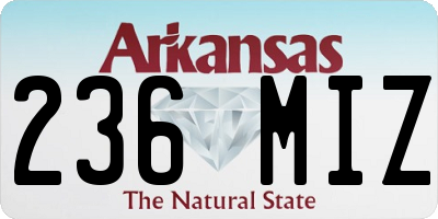 AR license plate 236MIZ