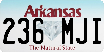 AR license plate 236MJI