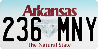 AR license plate 236MNY
