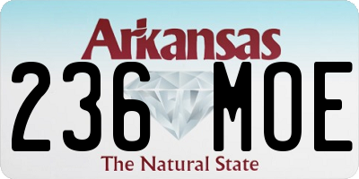 AR license plate 236MOE