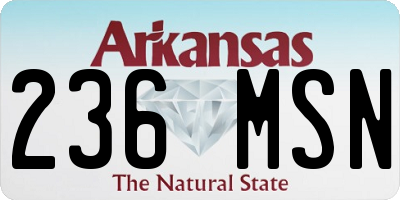 AR license plate 236MSN