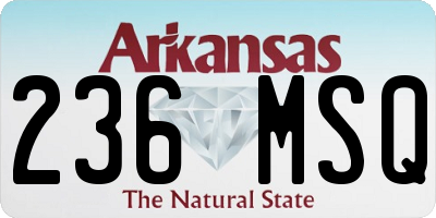 AR license plate 236MSQ