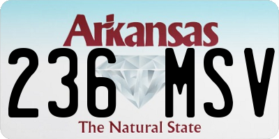 AR license plate 236MSV