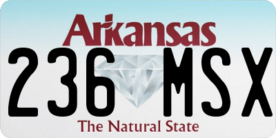 AR license plate 236MSX