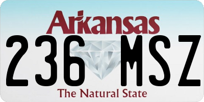 AR license plate 236MSZ