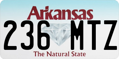AR license plate 236MTZ