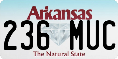 AR license plate 236MUC