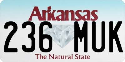 AR license plate 236MUK