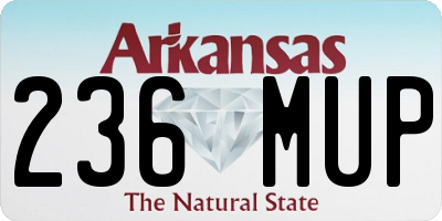 AR license plate 236MUP