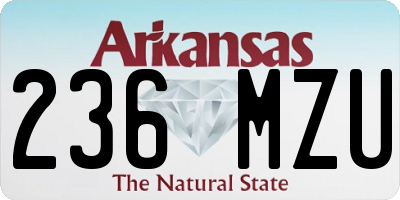 AR license plate 236MZU