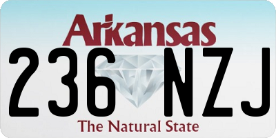 AR license plate 236NZJ