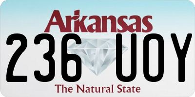 AR license plate 236UOY