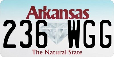AR license plate 236WGG
