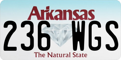 AR license plate 236WGS