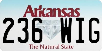 AR license plate 236WIG