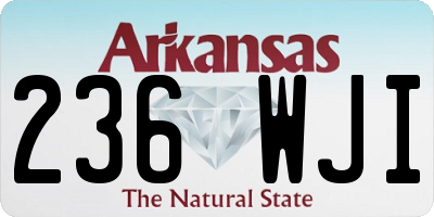 AR license plate 236WJI