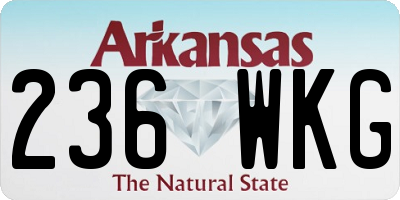 AR license plate 236WKG