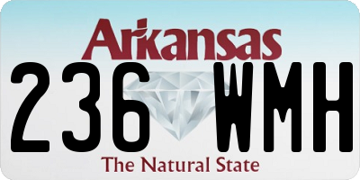 AR license plate 236WMH