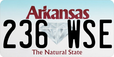 AR license plate 236WSE