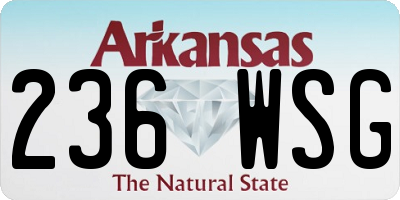 AR license plate 236WSG