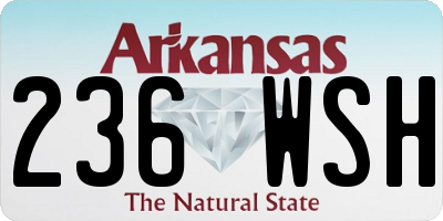 AR license plate 236WSH
