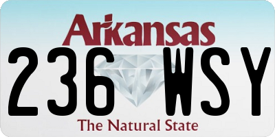 AR license plate 236WSY