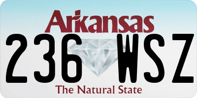 AR license plate 236WSZ
