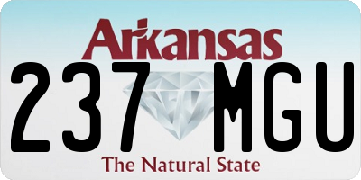 AR license plate 237MGU