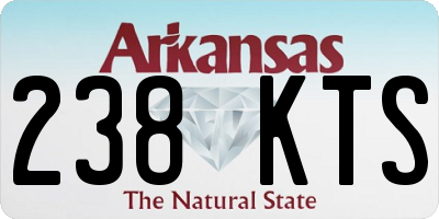 AR license plate 238KTS