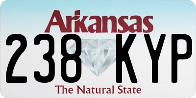 AR license plate 238KYP