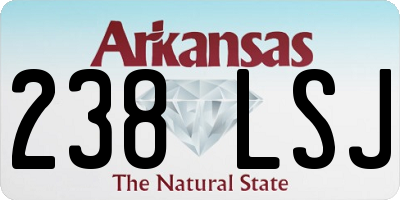 AR license plate 238LSJ