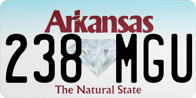 AR license plate 238MGU