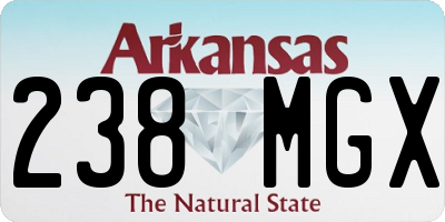 AR license plate 238MGX