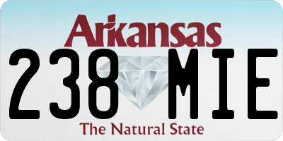 AR license plate 238MIE